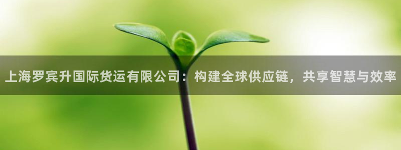 k豆钱包怎么买朋友的豆