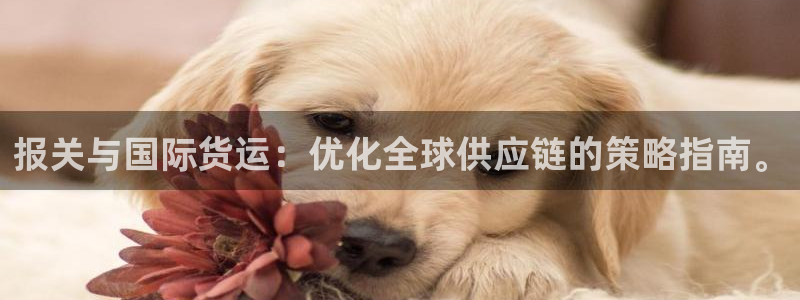 在k豆钱包买5000豆卖给谁