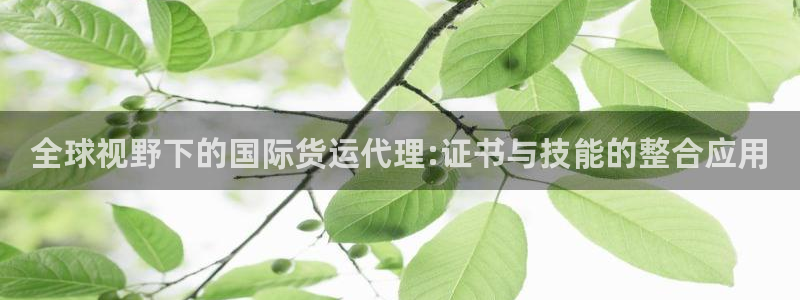 k豆钱包官网地址