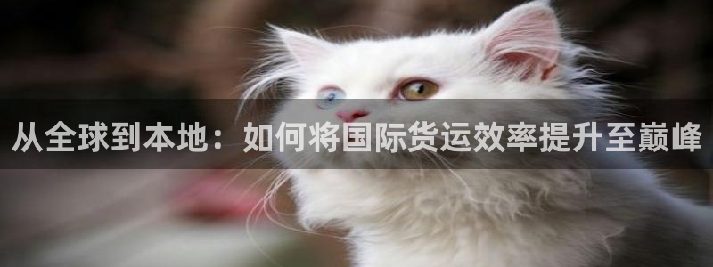 k豆钱包可靠吗