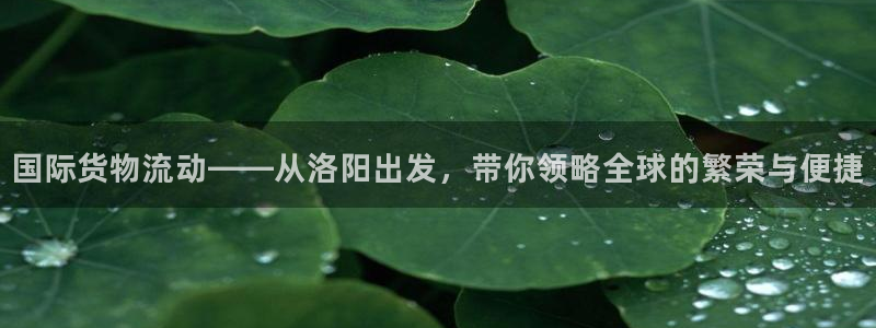 k豆钱包下载不了