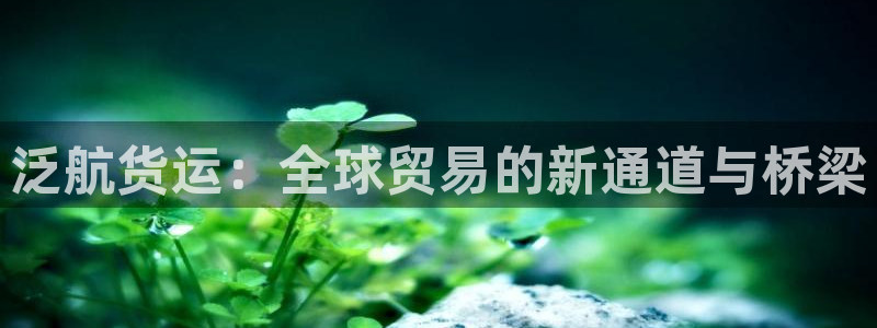k豆钱包怎么样?